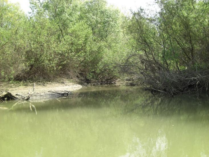 Дунайське з panoramio.com (ч.2) - Дунайське