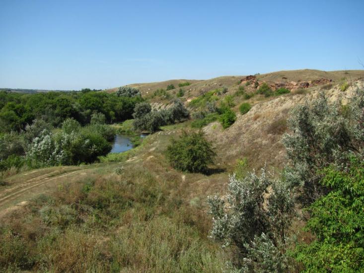 Плещіївка з panoramio.com - Плещіївка