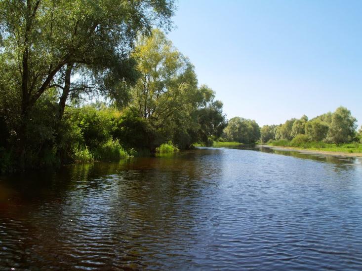 Хрещатик з panoramio.com - Крещатик
