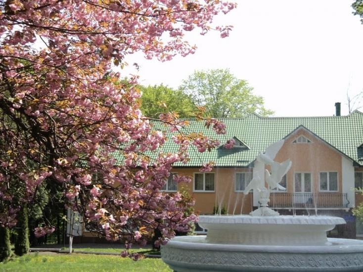Синяк з panoramio.com - Синяк