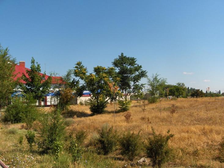 Калачівка з panoramio.com - Калачівка