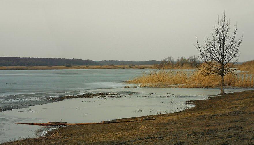 Красноград з panoramio.com - Красноград