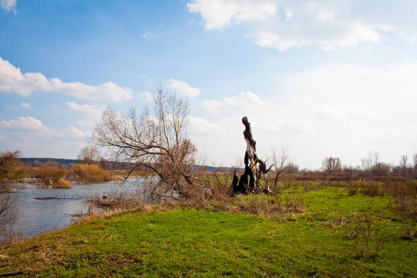 Новомлинськ з panoramio.com - Novomlynsk