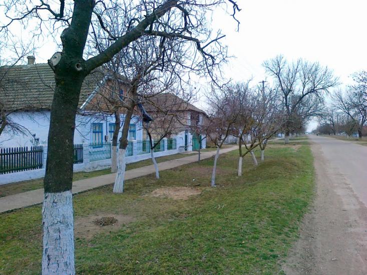 Фурманівка з panoramio.com - Фурмановка