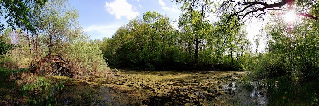 Мохнач з panoramio.com - Мохнач