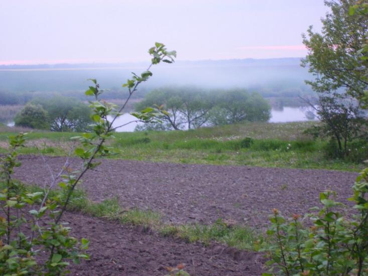 Півні з panoramio.com - Пивни