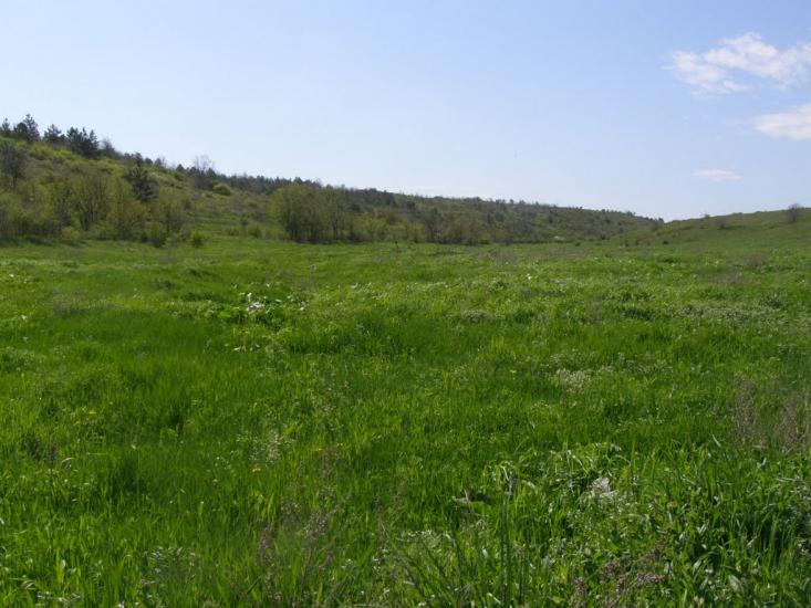 Широке з panoramio.com - Широкое