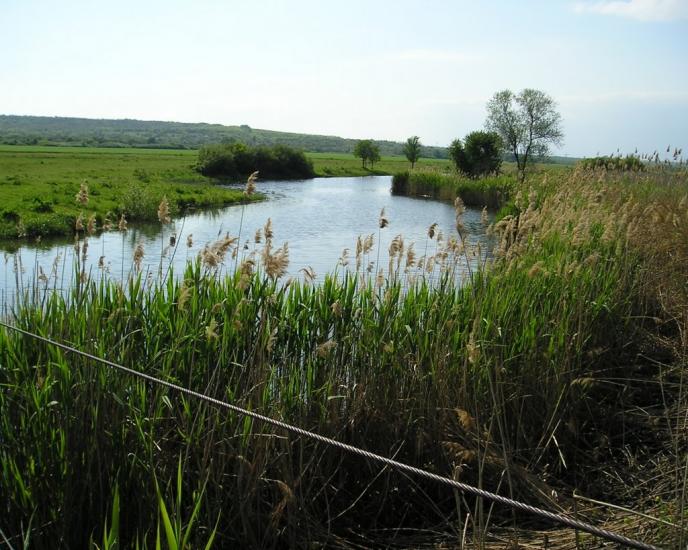 Юрківка з panoramio.com - Юрківка