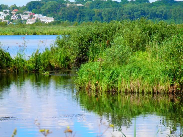 Плотича з panoramio.com - Плотыча