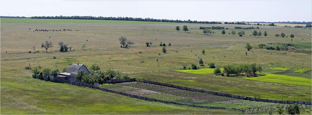 Недайвода з panoramio.com - Nedayvoda