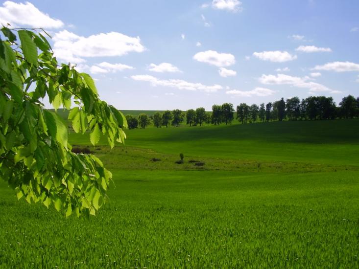Коржівці з panoramio.com - Коржевцы