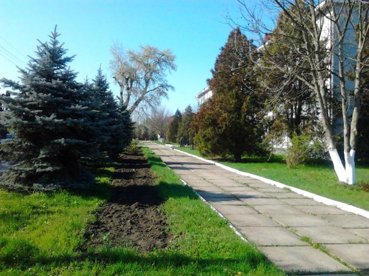 Новоселиця з panoramio.com - Новоселиця