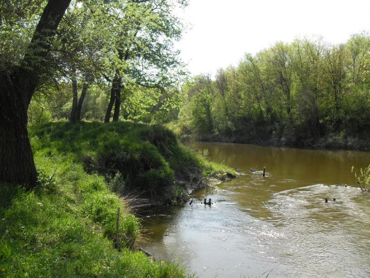 Підлісне з panoramio.com - Pidlisne