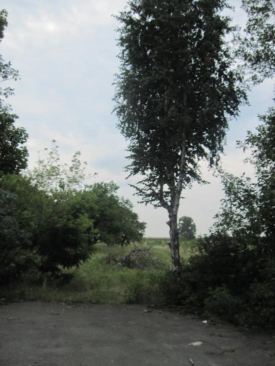Павлиш з panoramio.com - Павлиш