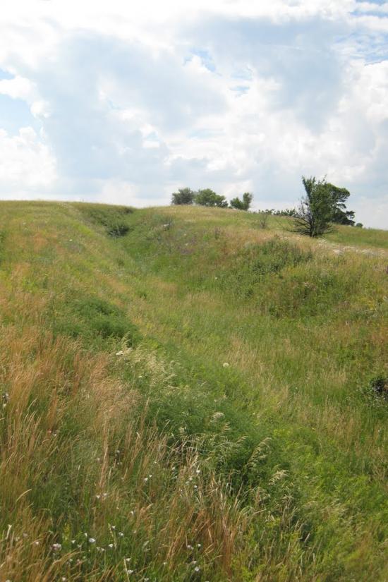 Шимшинівка з panoramio.com - Шимшинівка