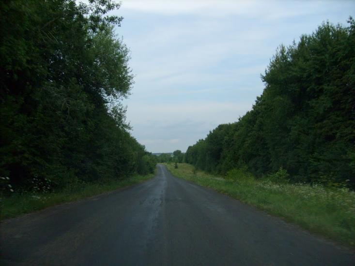Браїлів з panoramio.com - Brayiliv
