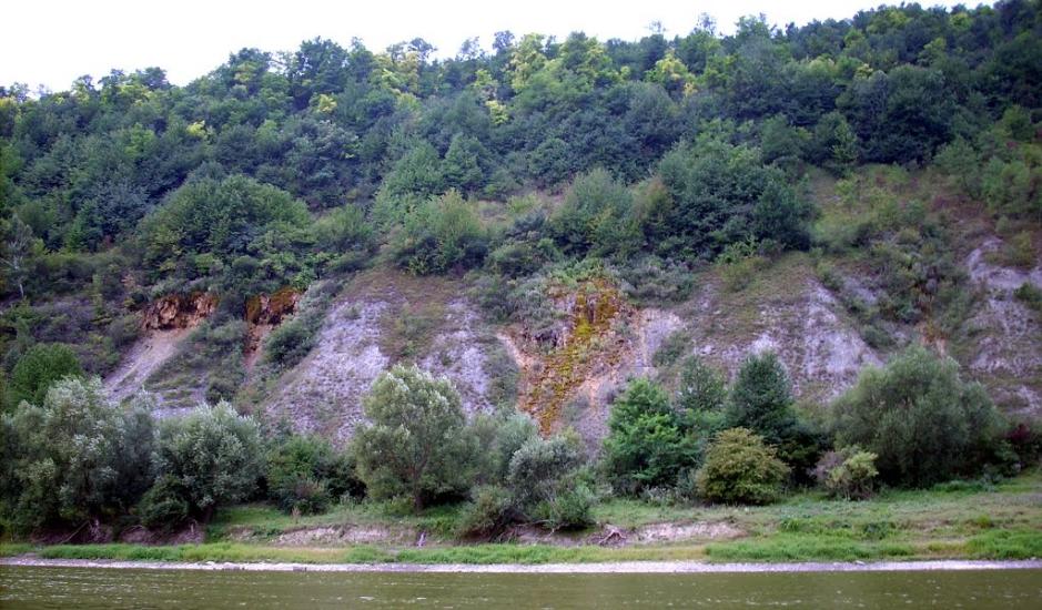 Репужинці з panoramio.com - Репужинцы