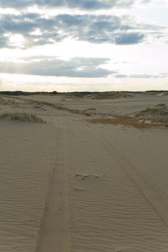 Кицівка з panoramio.com - Кицевка
