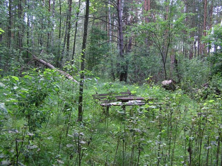 Струмок з panoramio.com - Струмок