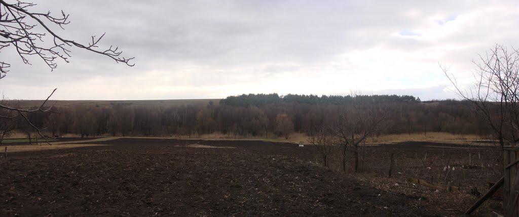 Осіївка з panoramio.com - Осіївка