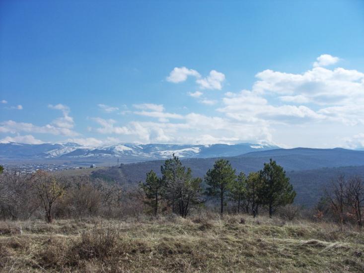 Піонерське з panoramio.com - Пионерское