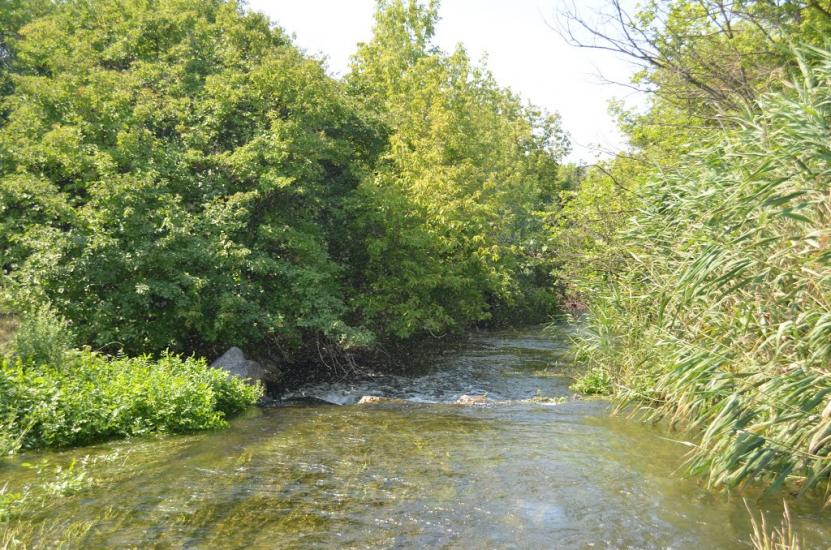 Родникове з panoramio.com - Родниково