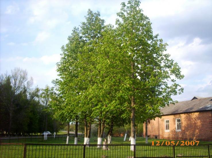 Феськи з panoramio.com - Феськи