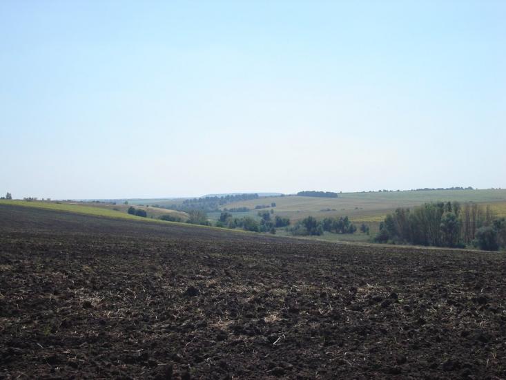 Бандурівка з panoramio.com - Bandurivka