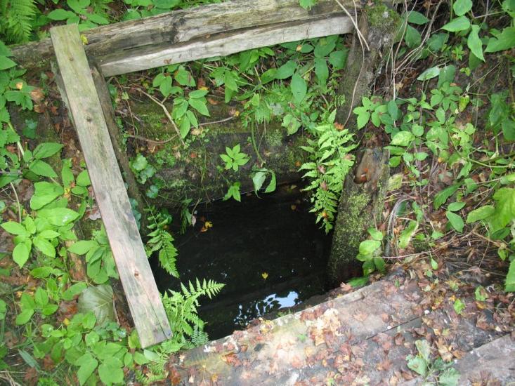 Букине з panoramio.com - Bukyne