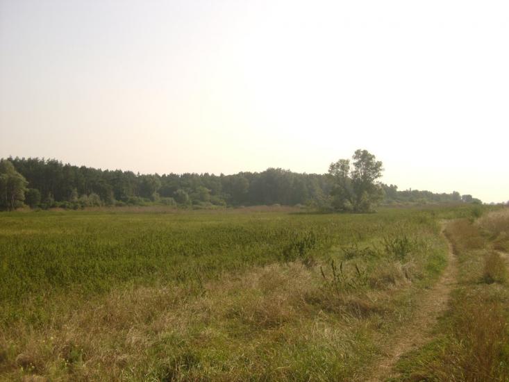 Березань з panoramio.com - Berezan