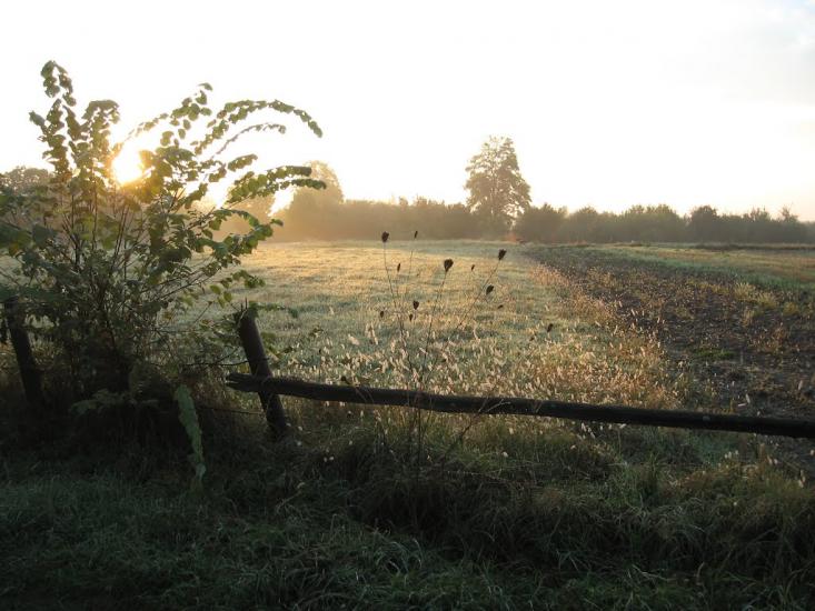 Кропивня з panoramio.com - Крапивня