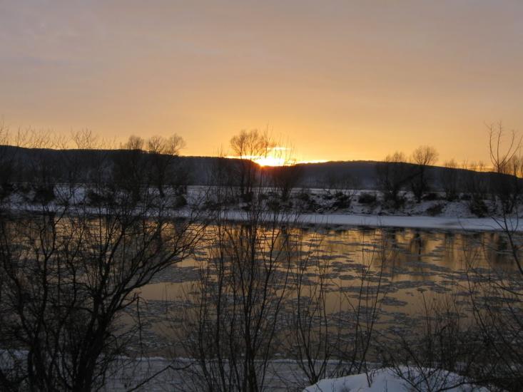 Золота Липа з panoramio.com - Золотая Липа