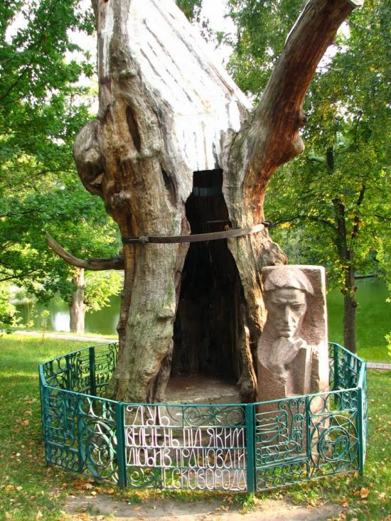 Сковородинівка з panoramio.com - Сковородинівка