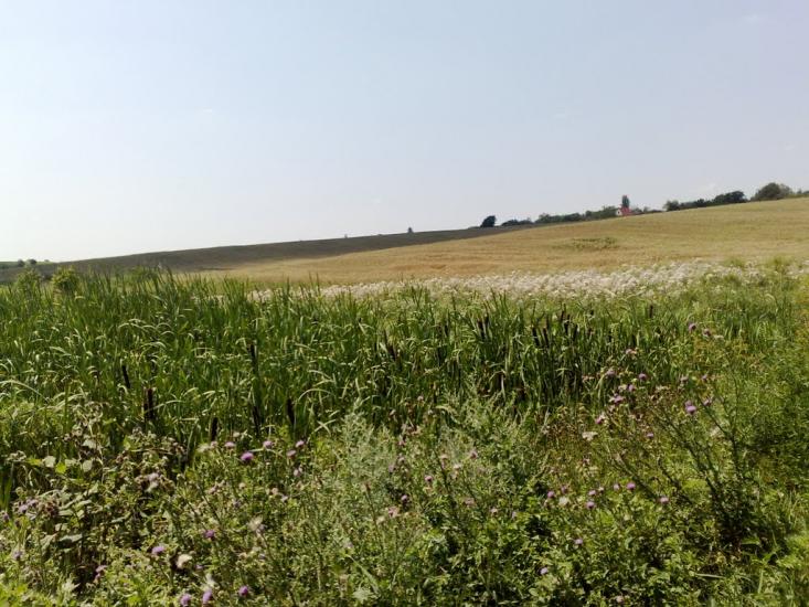 Пінчуки з panoramio.com - Пінчуки