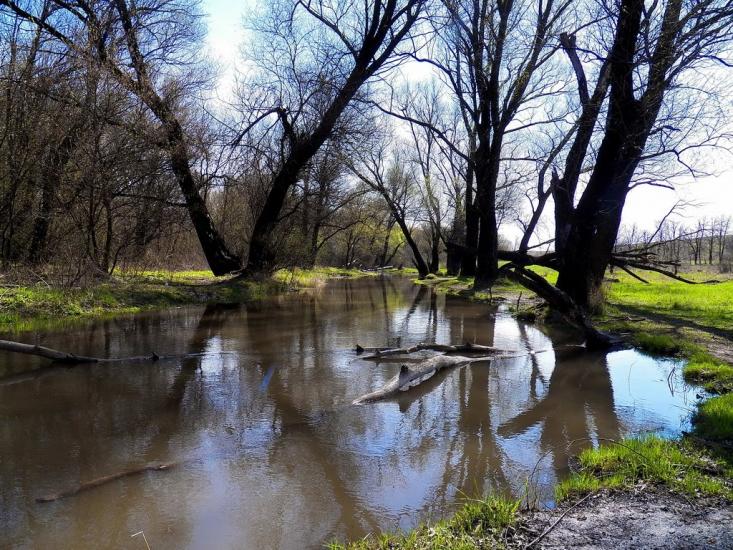 Булавинське з panoramio.com - Булавинське