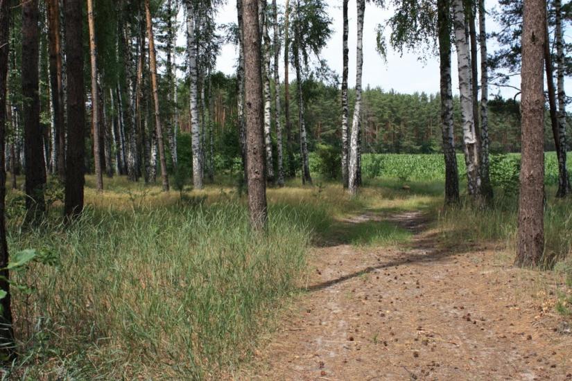 Бурімка з panoramio.com - Burimka