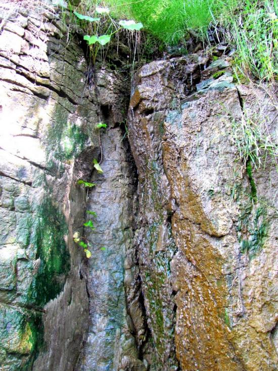 Злазне з panoramio.com - Злазне