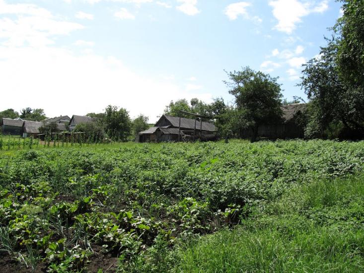 Подусільна з panoramio.com - Подусільна