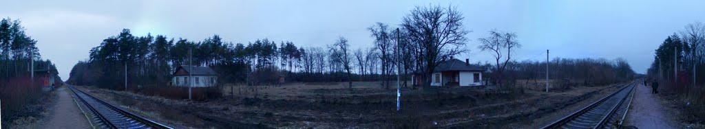 Дмитрівка з panoramio.com - Дмитровка