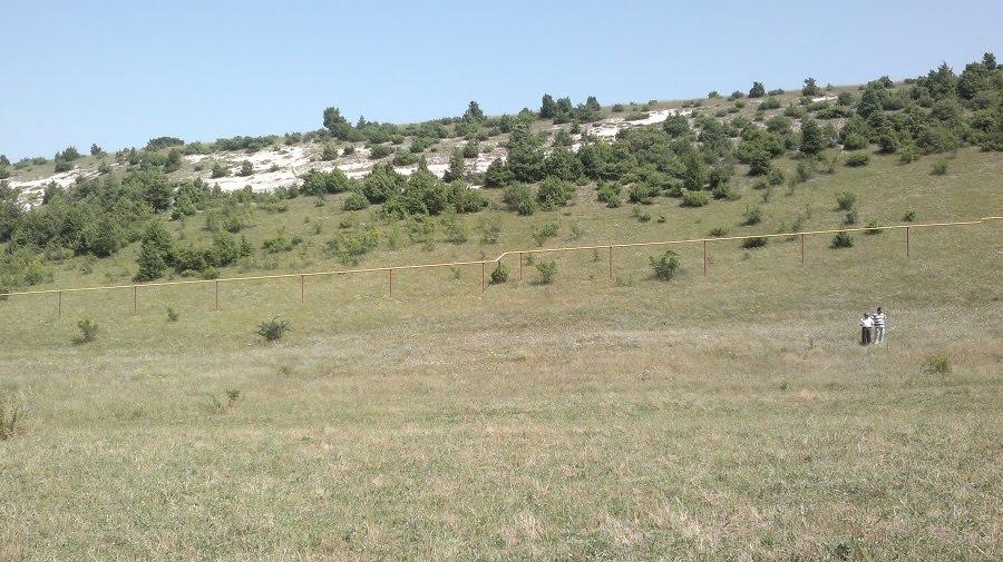Танкове з panoramio.com - Танковое