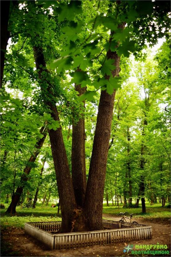 Хомутець з panoramio.com - Khomutets