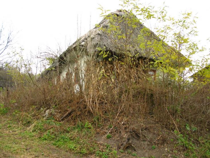 Червона Гребля з panoramio.com - Попова Гребля