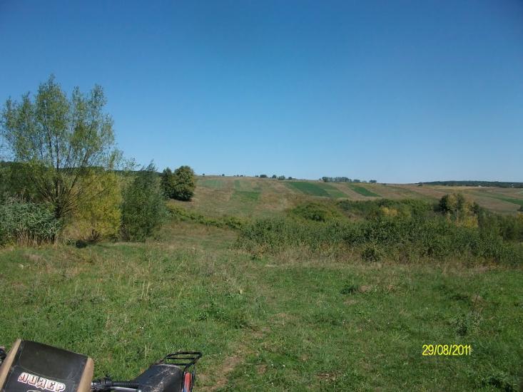 Тарасівці з panoramio.com - Тарасовцы