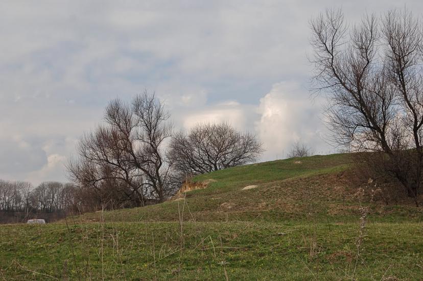 Птиче з panoramio.com - Птичье