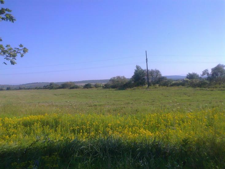 Боронява з panoramio.com - Боронява