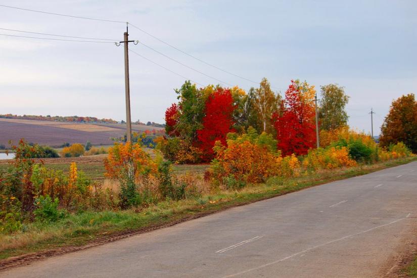 Мала Киріївка з panoramio.com - Mala Kyriyivka