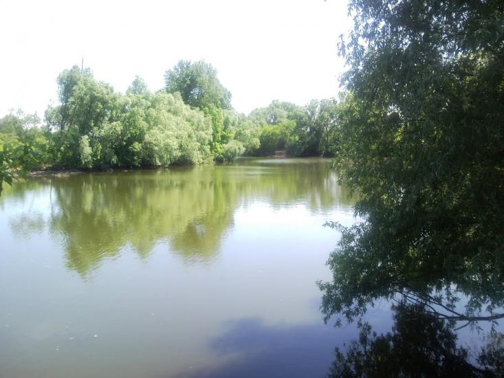 Кошари з panoramio.com - Кошары