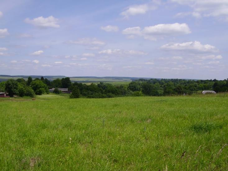 Коржівці з panoramio.com - Korzhivtsi