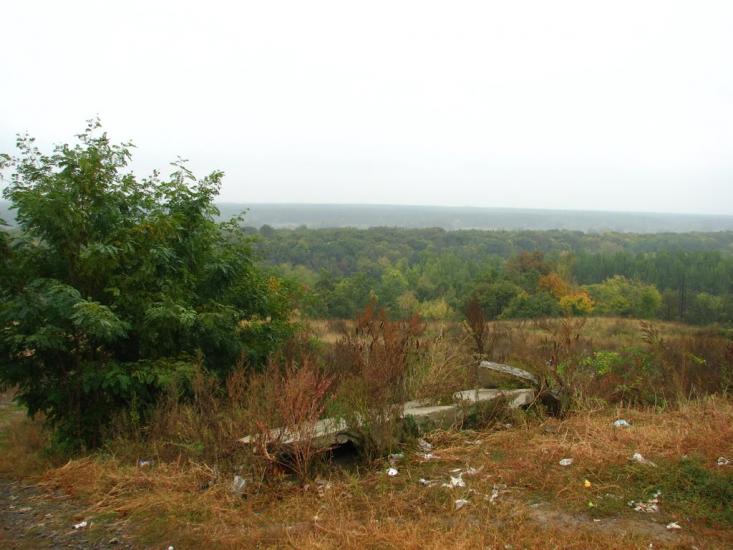 Кочеток з panoramio.com - Кочеток