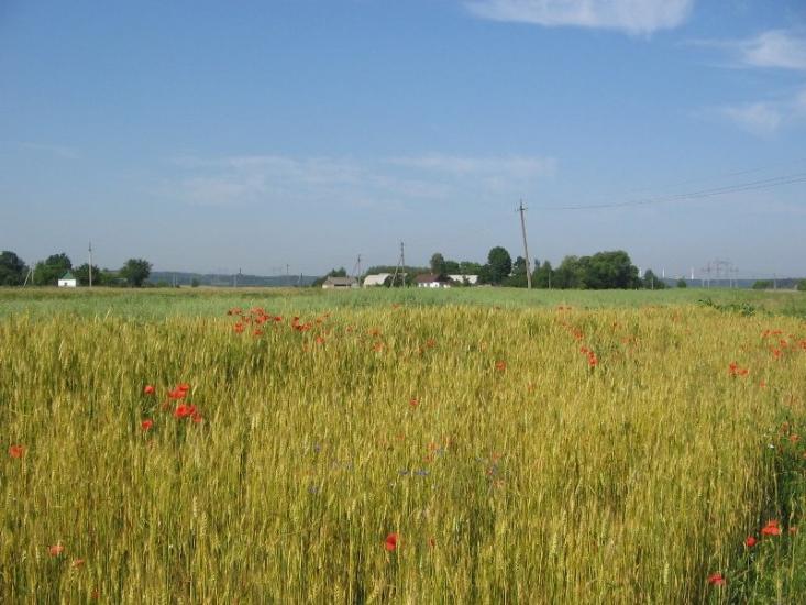 Полянь з panoramio.com - Полянь